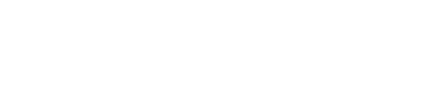 Lisconn